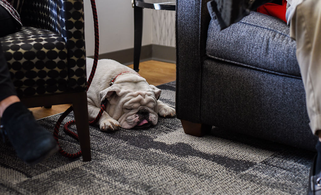 Uga X sleeps in a hotel room